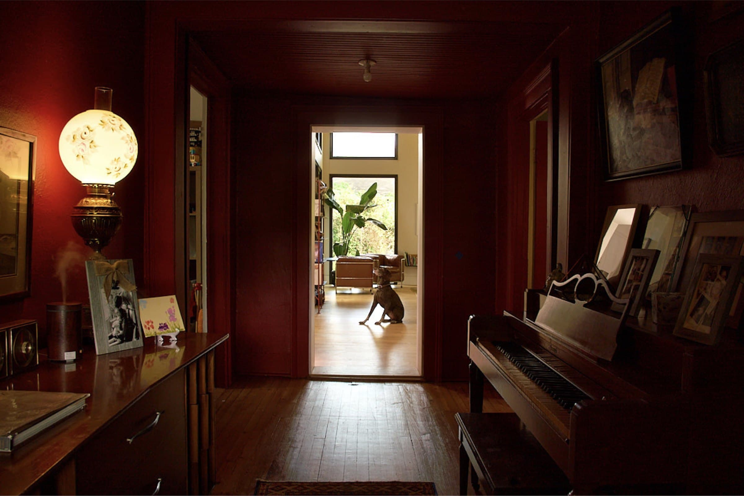 A deep red hallway with a piano and a dog